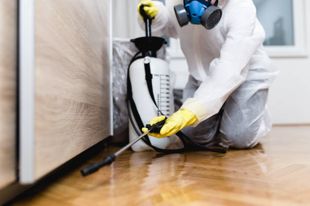 Best Best Pest Control Companies  in Sloan, IA