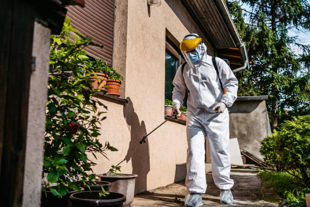 Best Cockroach Control Services  in Sloan, IA