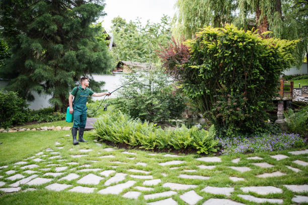 Best Affordable Pest Control Services  in Sloan, IA