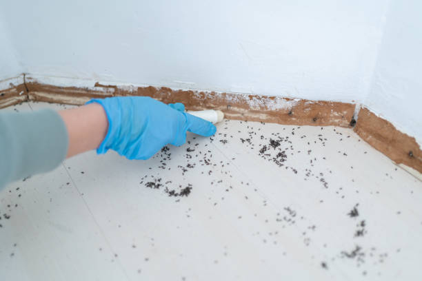 Professional Pest Control in Sloan, IA