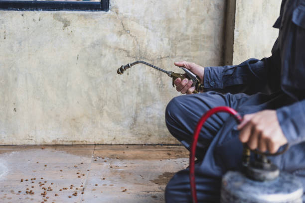 Best Pest Inspection Near Me  in Sloan, IA